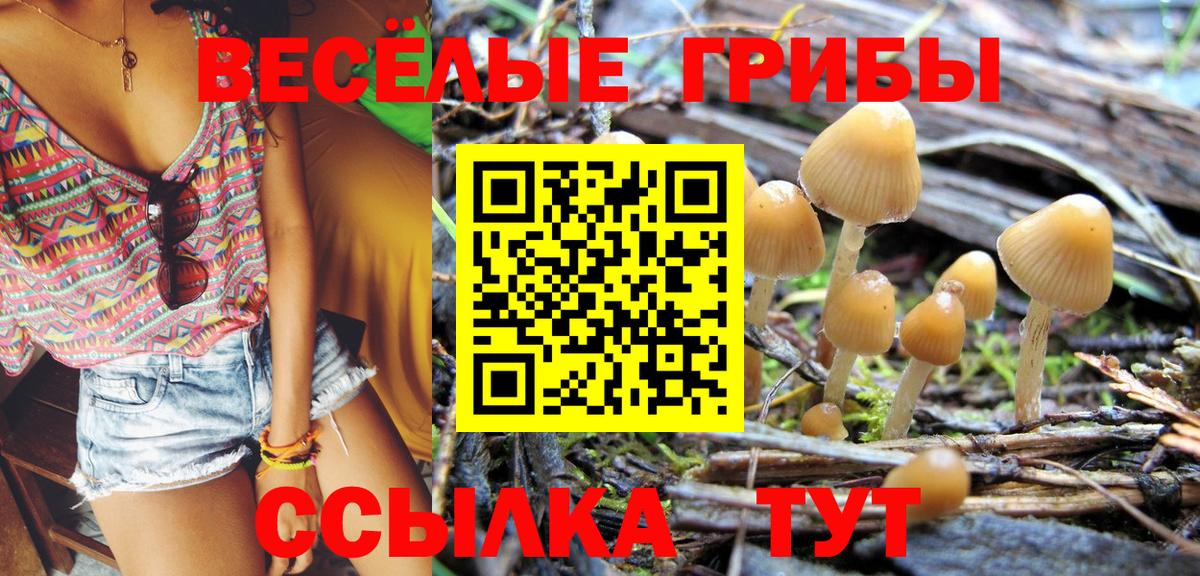 Кулебаки  наркота  Псилоцибиновые грибы ЛСД  Вход с VPN  Галлюциногенные грибы ЛСД 